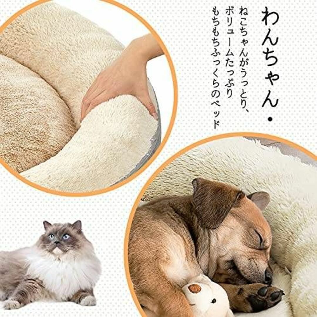 低めの段差があるキャットタワー、子猫やシニア猫向けの通販 by ゴリ's