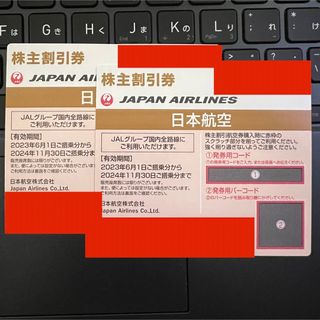 最新　JAL 日本航空　株主優待券　1枚　2024年11月末日まで(航空券)