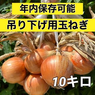 吊るして保存‼️玉ねぎ10キロ入り‼️(野菜)