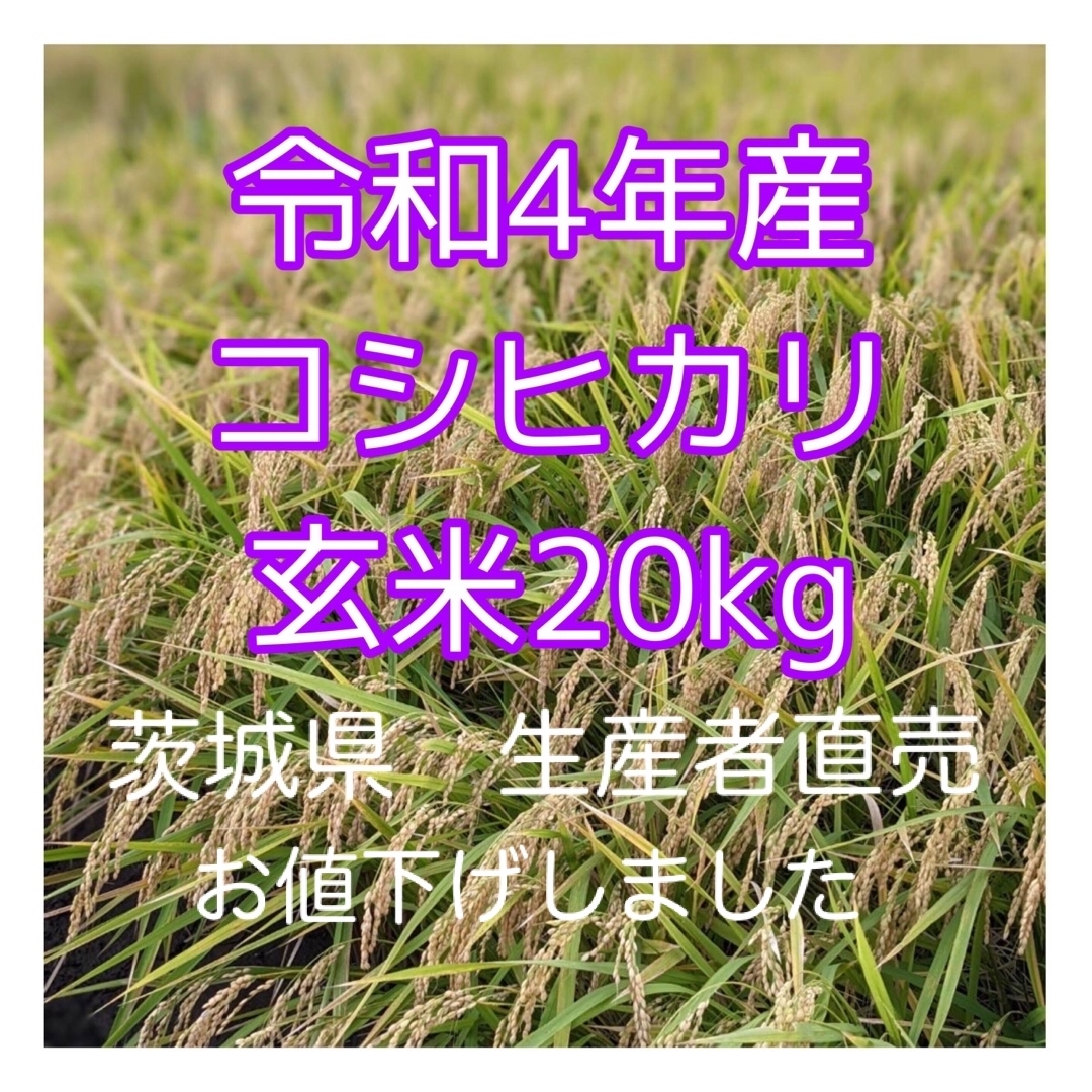 令和４年　茨城県産　コシヒカリ　玄米20Kg   送料無料　(お値下げしました)