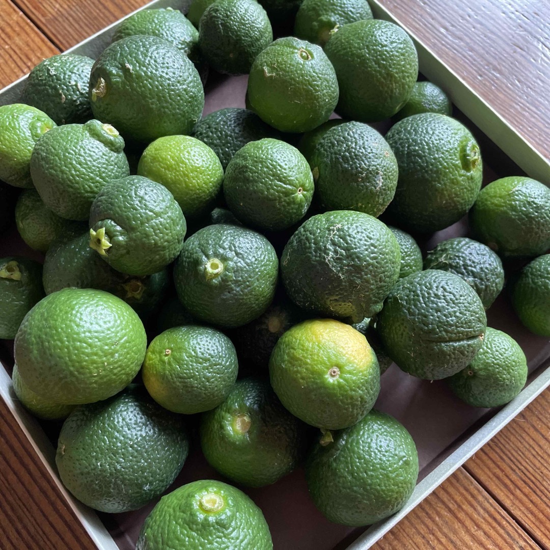 愛媛県産 摘果みかん(温州みかん)宅急便コンパクト入るだけ 食品/飲料/酒の食品(フルーツ)の商品写真