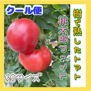 丹波産‼️トマト60サイズでお届け‼️(野菜)