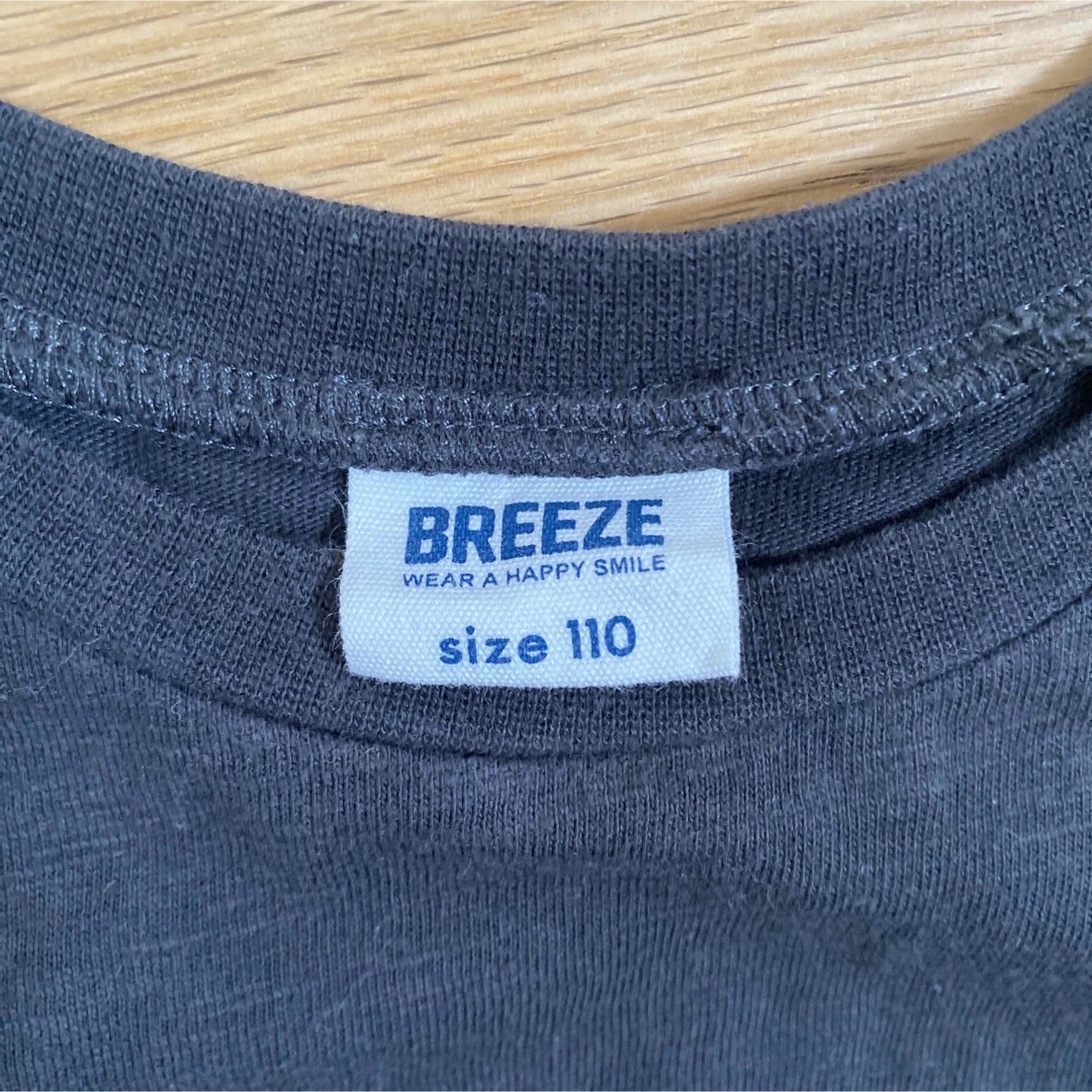 BREEZE(ブリーズ)のBREEZE 110cm 半袖ワンピース キッズ/ベビー/マタニティのキッズ服女の子用(90cm~)(ワンピース)の商品写真