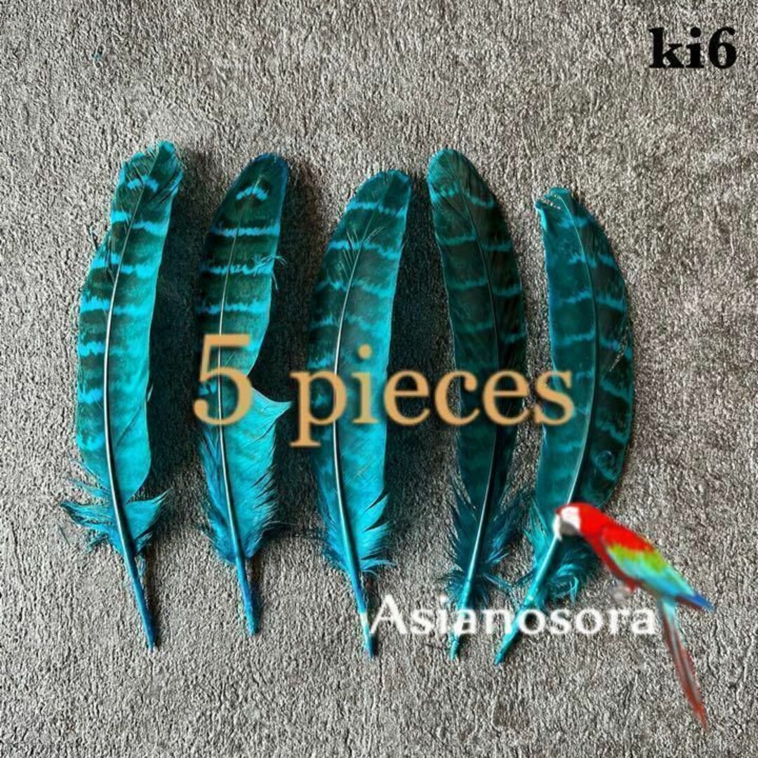 ki6 アクア】5枚キジ 鳥の羽根 フェザー 素材 パーツの通販 by ki6 アクア】5枚キジ 鳥の羽根 フェザー 素材 パーツの通販 by