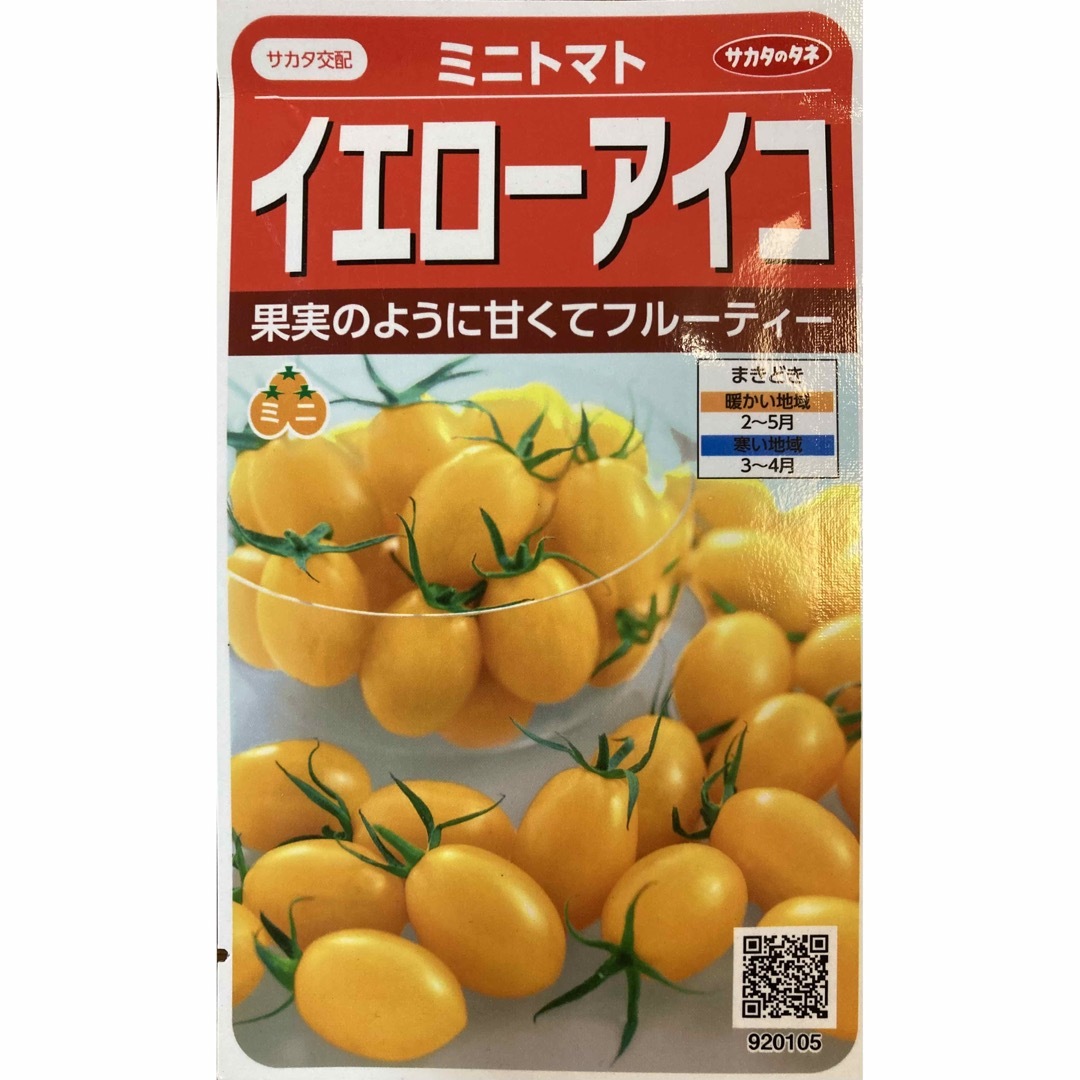 ★ アイコ・イエローアイコミニトマト　苗各１本★ 【匿名発送ゆうパケット便】 食品/飲料/酒の食品(野菜)の商品写真