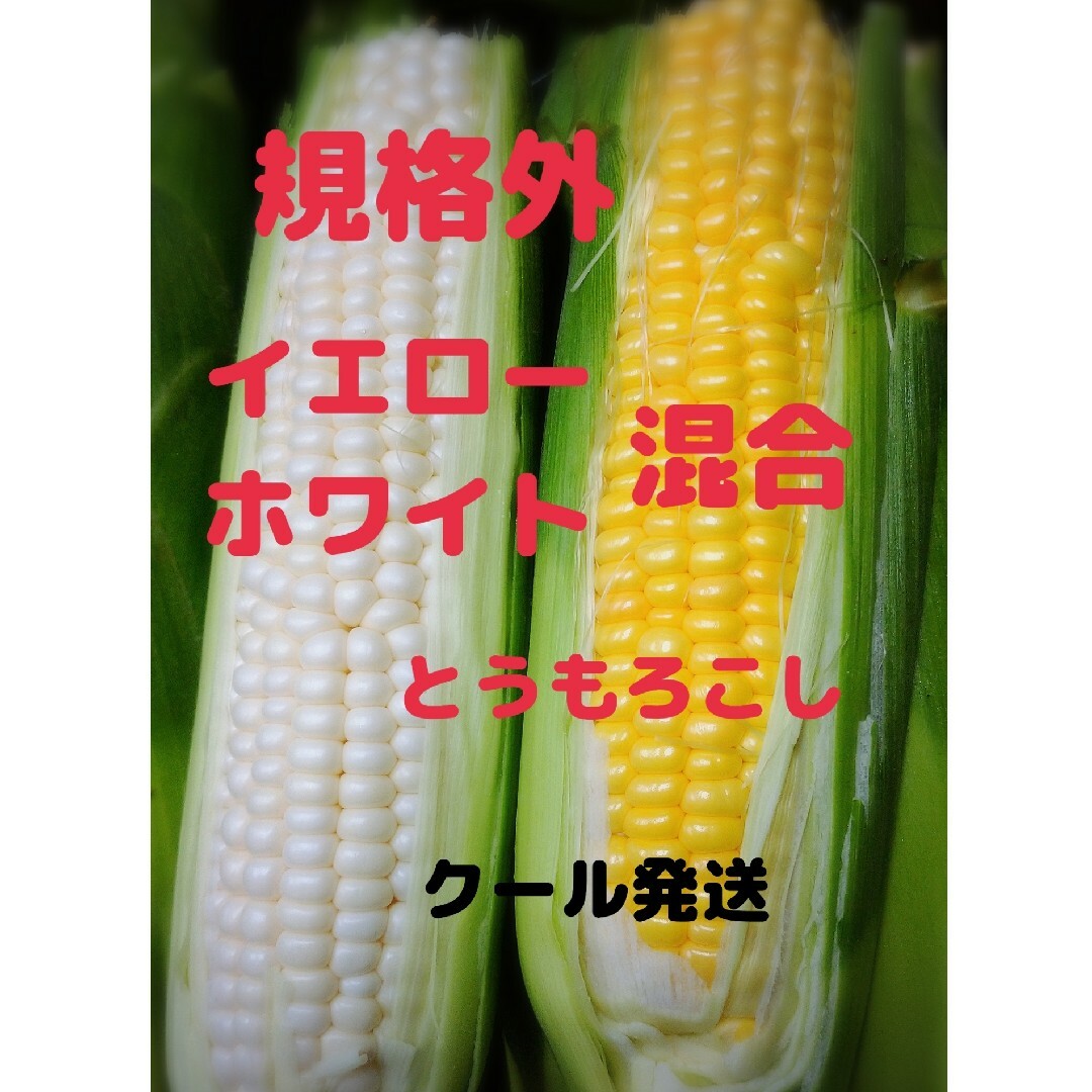 規格外 混合とうもろこし 食べ比べセット 食品/飲料/酒の食品(野菜)の商品写真