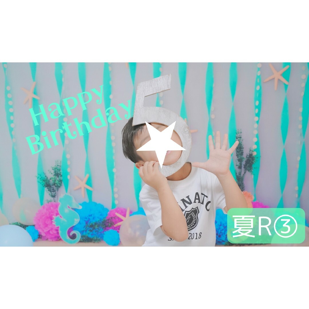 背景布夏G② ペット撮影用フォトブース トリミングチョーカーも 背景布夏G② ペット撮影用フォトブース トリミングチョーカーも