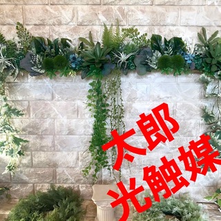 光触媒　人工観葉植物　ウォールグリーン　フェイクグリーン404105(壁掛けミラー)