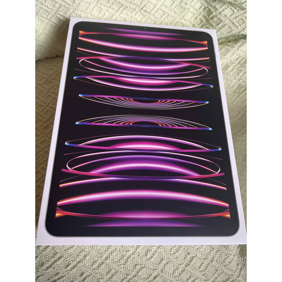 iPad Pro 11インチ 第4世代 第四世代128GB 6