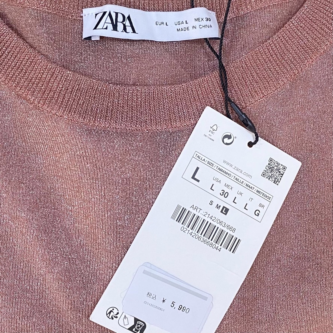 ZARA(ザラ)の新品♡ZARA 大人気　店舗オンライン完売レア！セミシースルーニットトップス　L レディースのトップス(ニット/セーター)の商品写真