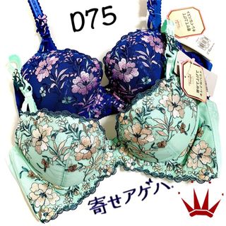 トリンプ(Triumph)のD75 トリンププレミアム ラメ糸 寄せアゲハ ブラ単品 Green&Navy(ブラ)