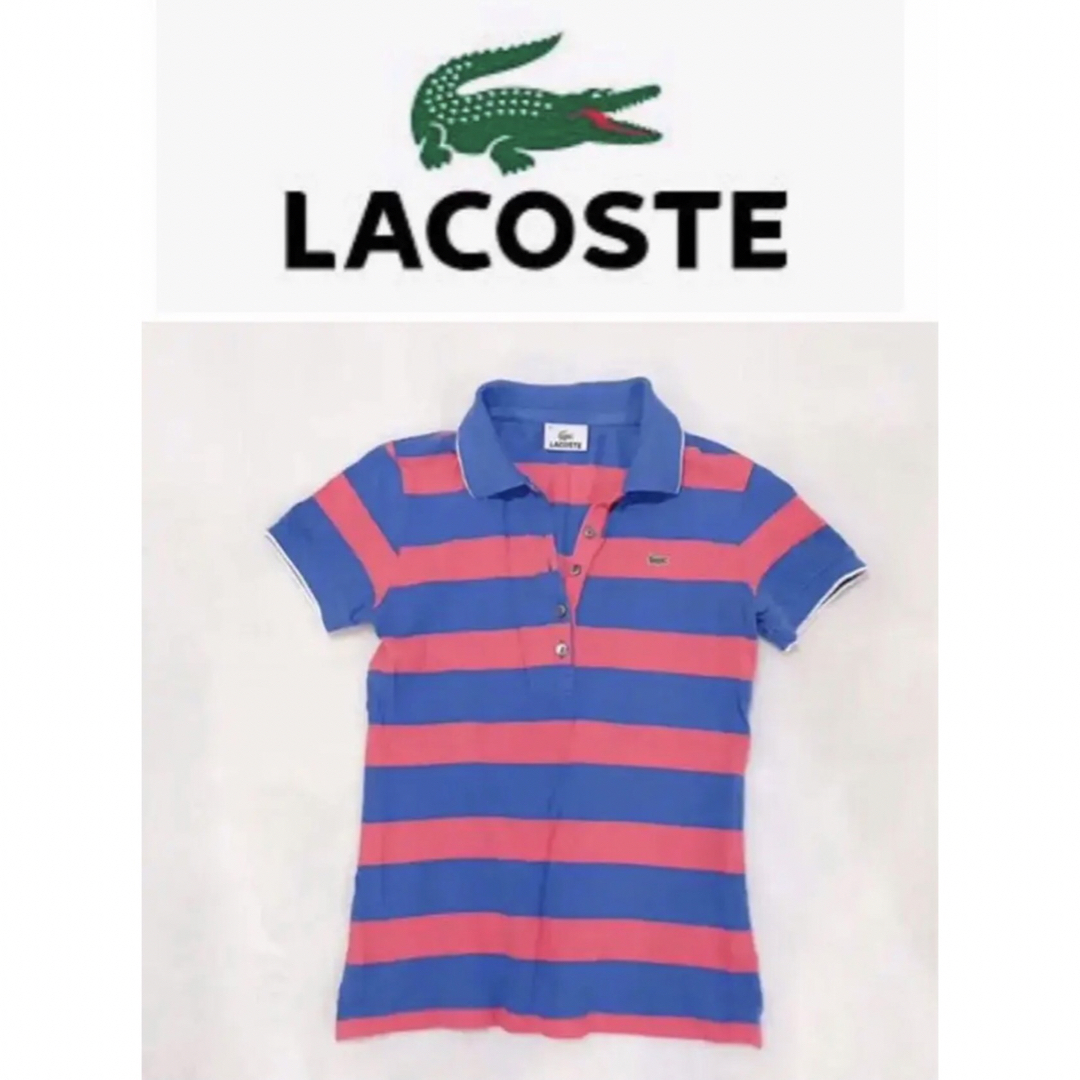 LACOSTE(ラコステ)の美品 Lacoste ポロシャツ ピンク ブルー ストライプ ボーダー レディースのトップス(ポロシャツ)の商品写真