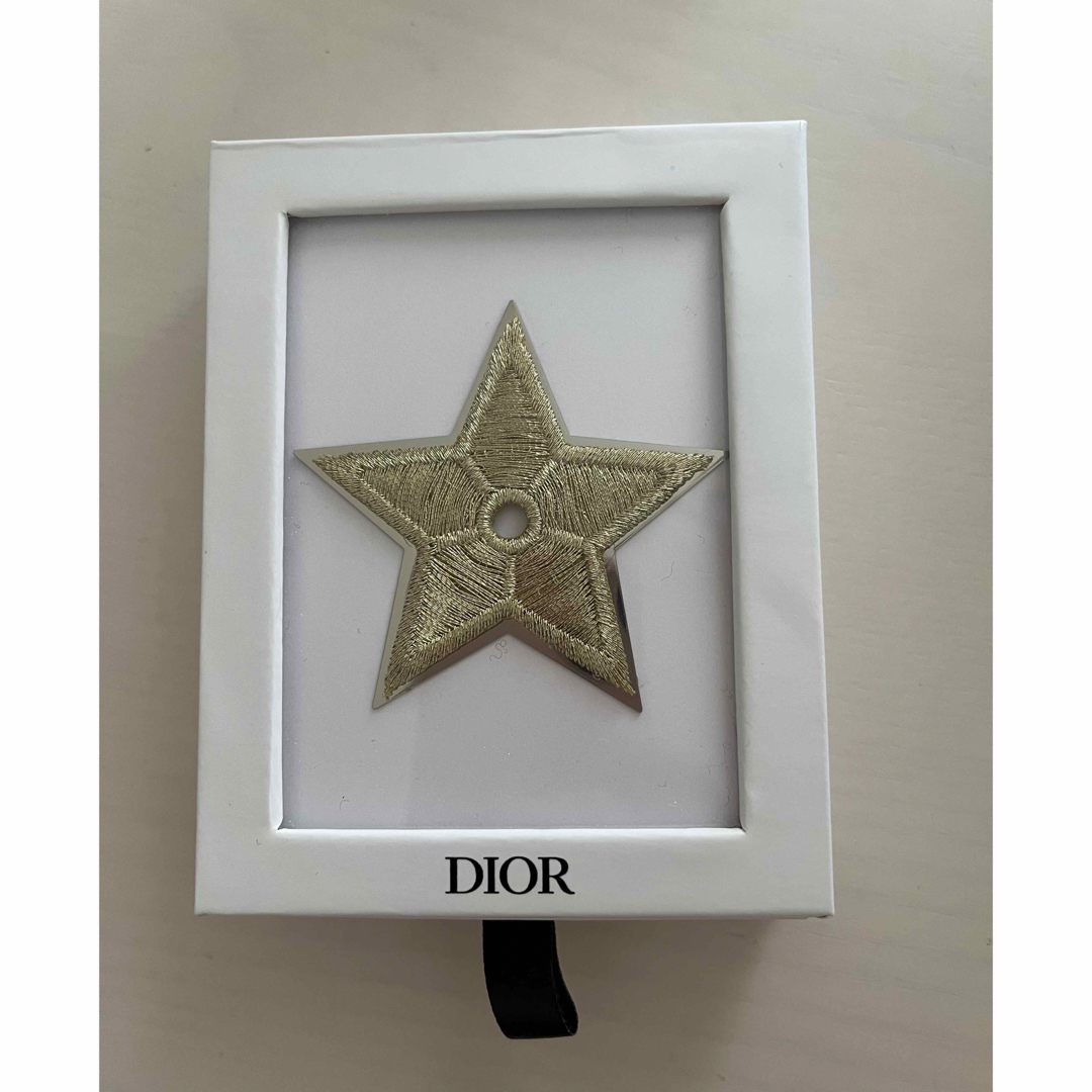 Dior(ディオール)のDIOR ピンバッジ エンタメ/ホビーのアニメグッズ(バッジ/ピンバッジ)の商品写真