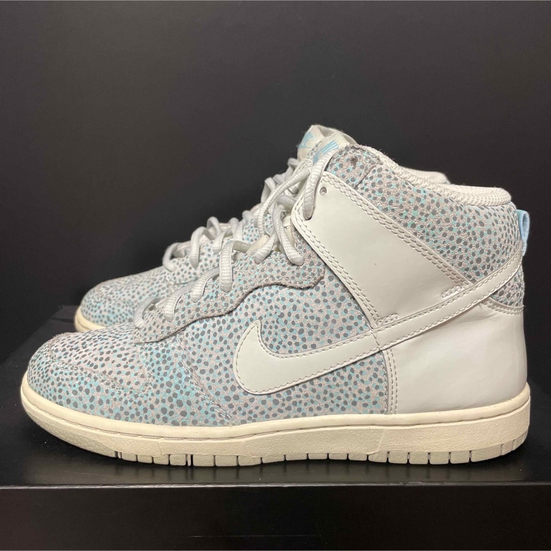 日本未発売　Nike Dunk High Skinny