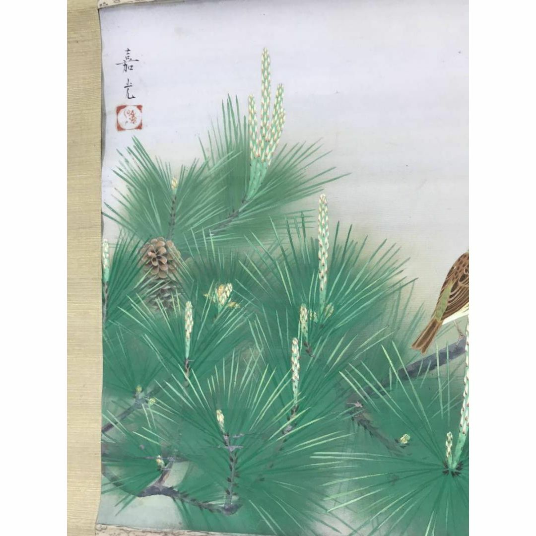 真作】嘉光/若松に小禽図/松に鳥図/横物/掛軸☆宝船☆AB-910の 真作】嘉光/若松に小禽図/松に鳥図/横物/掛軸☆宝船☆AB-910の