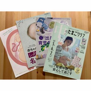 ベネッセ(Benesse)の中期のたまごクラブ　春夏号　2022(結婚/出産/子育て)