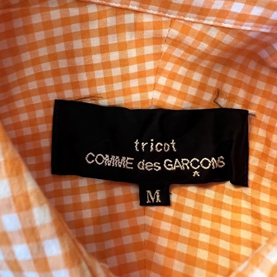 COMME des GARCONS(コムデギャルソン)の【未使用】コムデギャルソン　ブラウス　ピンタック　フリル　ダブルカフス レディースのトップス(シャツ/ブラウス(長袖/七分))の商品写真