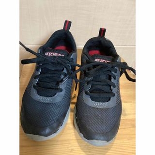 スケッチャーズ(SKECHERS)の値下げしました！キッズ　18.5センチ　スケッチャーズ　スニーカー(スニーカー)