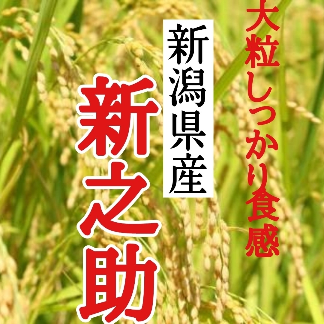 新潟県産新之助極み　玄米2㎏(令和4年産)