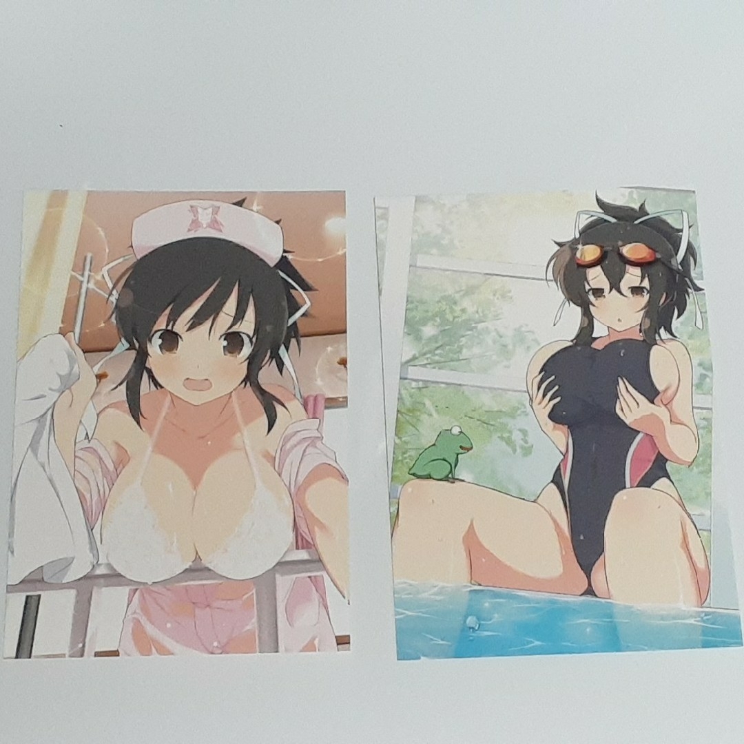 閃乱カグラ　水着姿等可愛い特製イラスト飛鳥ポストカード10枚セット