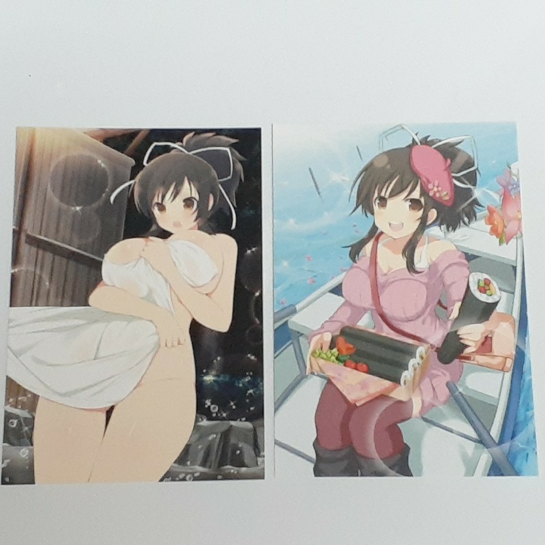 閃乱カグラ　水着姿等可愛い特製イラスト飛鳥ポストカード10枚セット