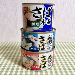 サバ缶 24個 賞味期限 2026年