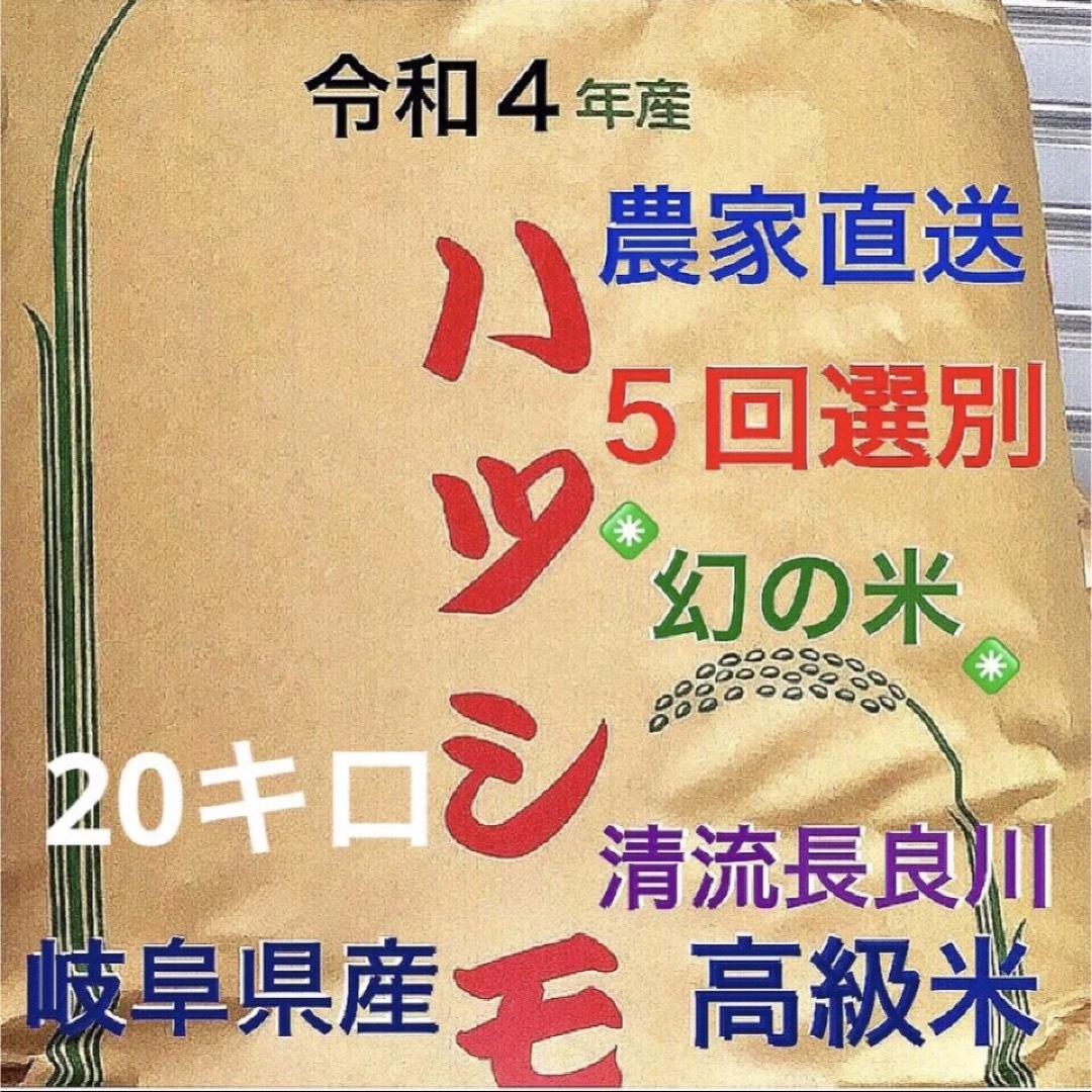 ✳️令和４年産✳️５回色彩選別・有機肥料・送料無料ハツシモ20キロひのひかり