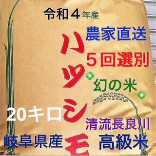 ✳️令和4年産✳️5回色彩選別・有機肥料・送料無料ハツシモ20キロの