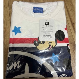 ディズニー(Disney)のディズニーリゾート Tシャツ3Ｌ(Tシャツ/カットソー(半袖/袖なし))