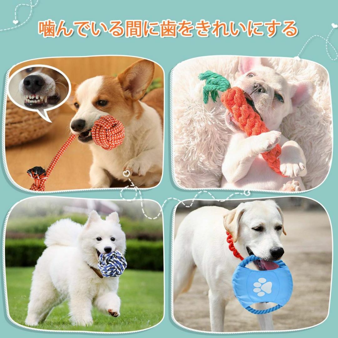 ペット用の犬の知育玩具セット ロープおもちゃ10個