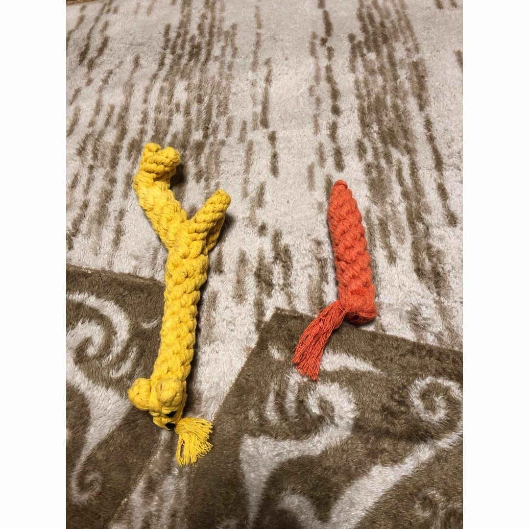 ペット用の犬の知育玩具セット ロープおもちゃ10個 3