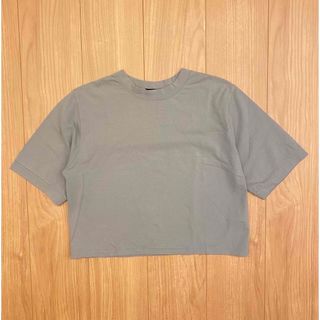 ムルーア(MURUA)のMURUA ムルーア Tシャツ トップス フリーサイズ(Tシャツ(半袖/袖なし))