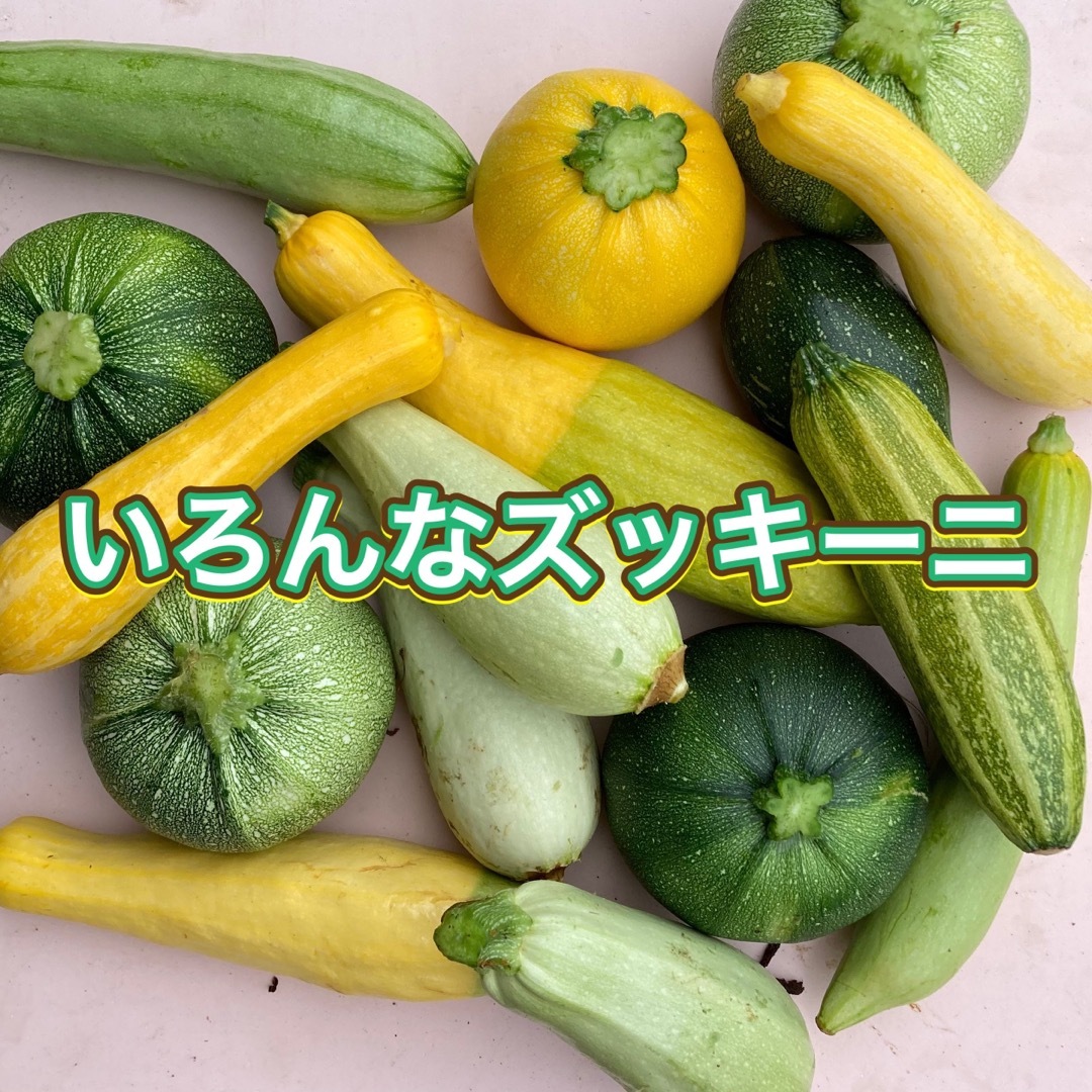 朝採り新鮮野菜詰め合わせ　70サイズ  食品/飲料/酒の食品(野菜)の商品写真