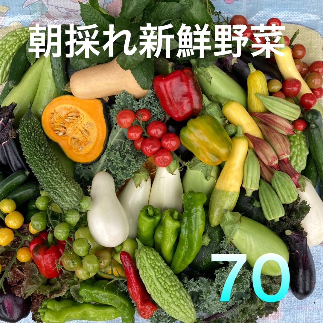 朝採り新鮮野菜詰め合わせ　70サイズ  食品/飲料/酒の食品(野菜)の商品写真