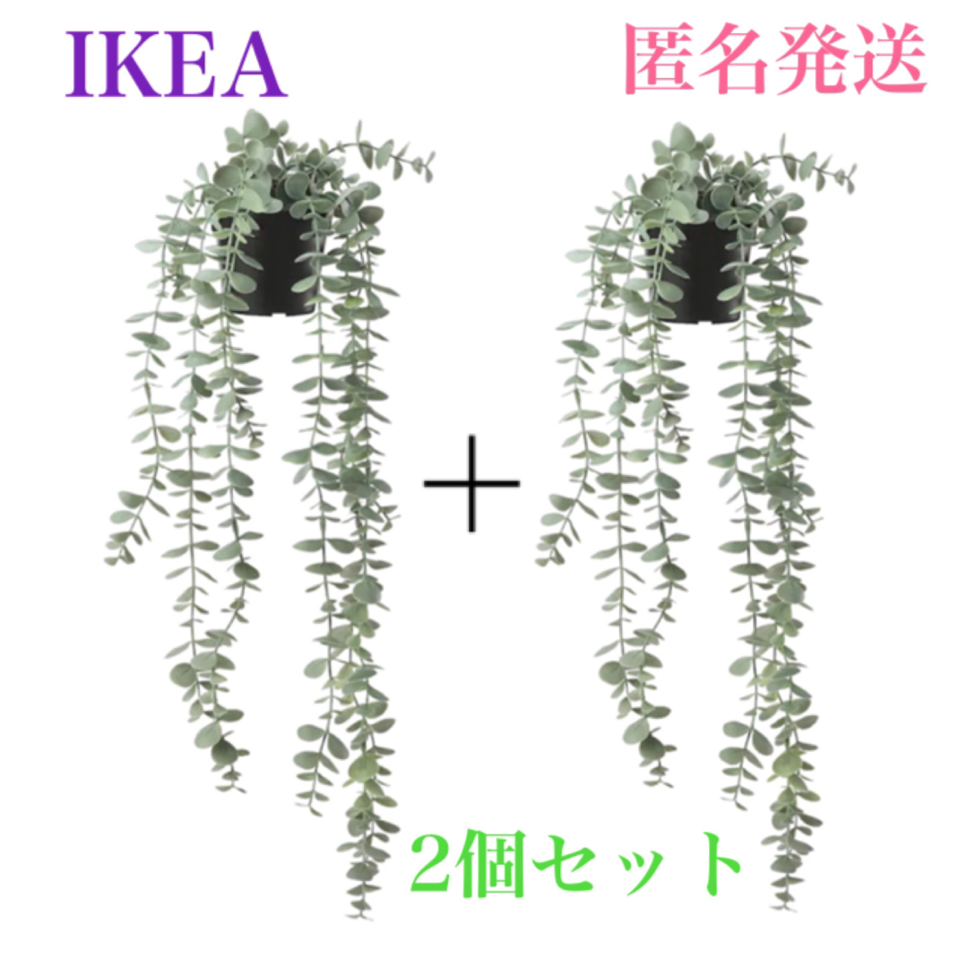 IKEA(イケア)の【新品】IKEA イケア フェイカ フェイクグリーン つり下げ型 ２個セット インテリア/住まい/日用品のインテリア小物(その他)の商品写真