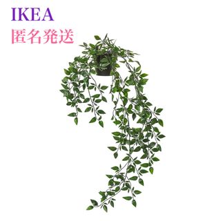 イケア(IKEA)の【新品】IKEA イケア フェイカ フェイクグリーン 人工観葉植物 つり下げ型(その他)