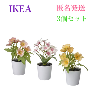 イケア(IKEA)の【新品】IKEA フェイカ フェイクグリーン3点セット フラワーミックス 6cm(その他)