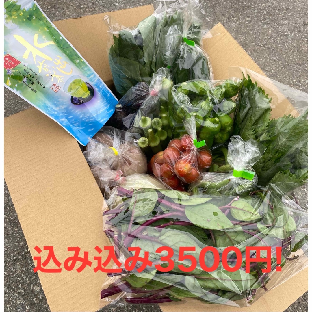 ◎プロのレシピ付き◎ダンボールにいっぱいの無農薬野菜 食品/飲料/酒の食品(野菜)の商品写真