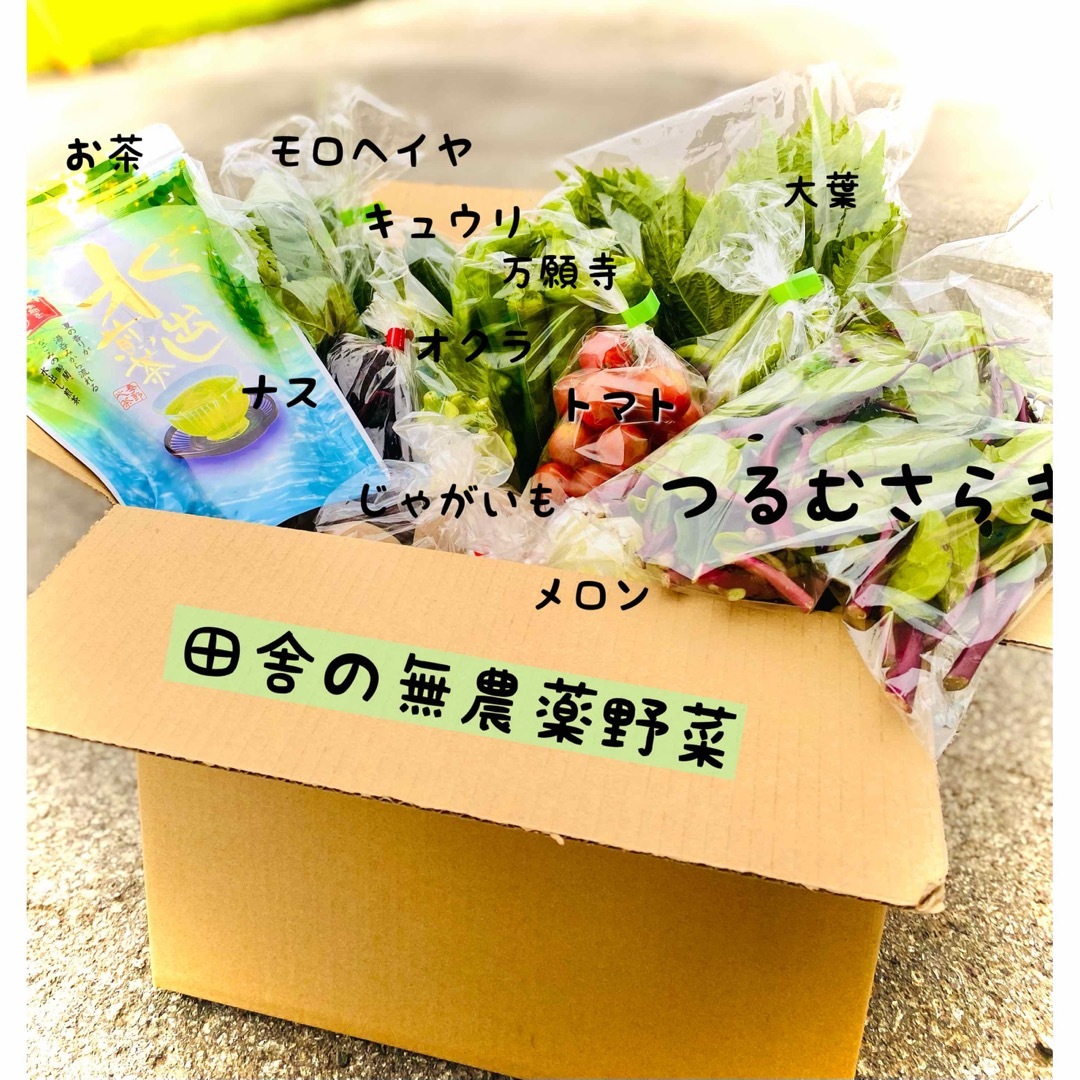 ◎プロのレシピ付き◎ダンボールにいっぱいの無農薬野菜 食品/飲料/酒の食品(野菜)の商品写真