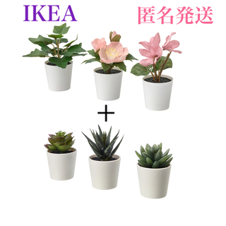 イケア(IKEA)の【新品】イケア フェイクグリーン フェイカ 鉢カバー付き6 cm 3ピース×2種(その他)