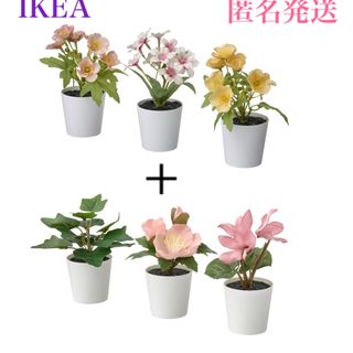 イケア(IKEA)の【新品】イケア フェイカ フェイクグリーン 鉢カバー付き6 cm 3ピース×2種(その他)