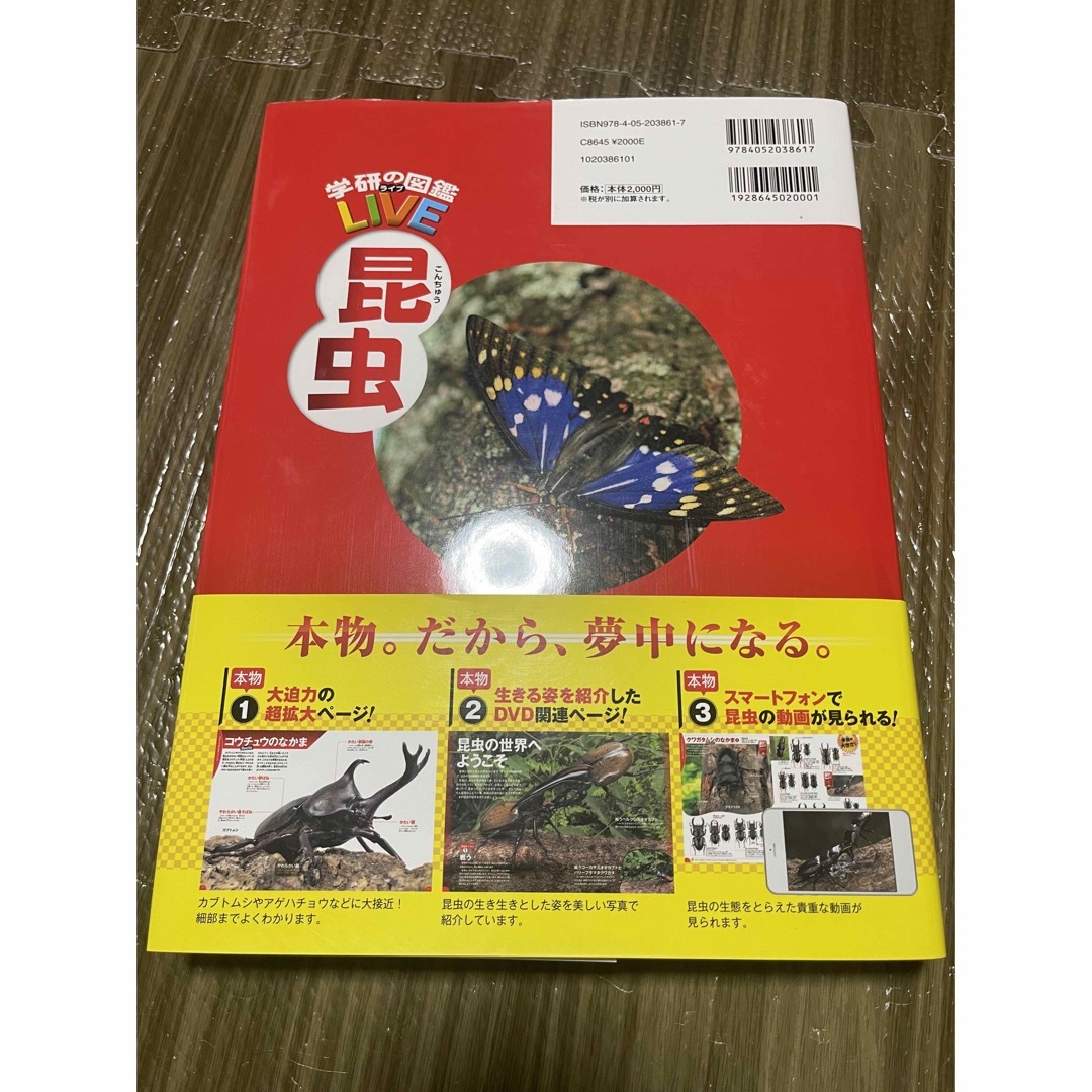 学研(ガッケン)の新品、未使用　昆虫図鑑 エンタメ/ホビーの本(絵本/児童書)の商品写真