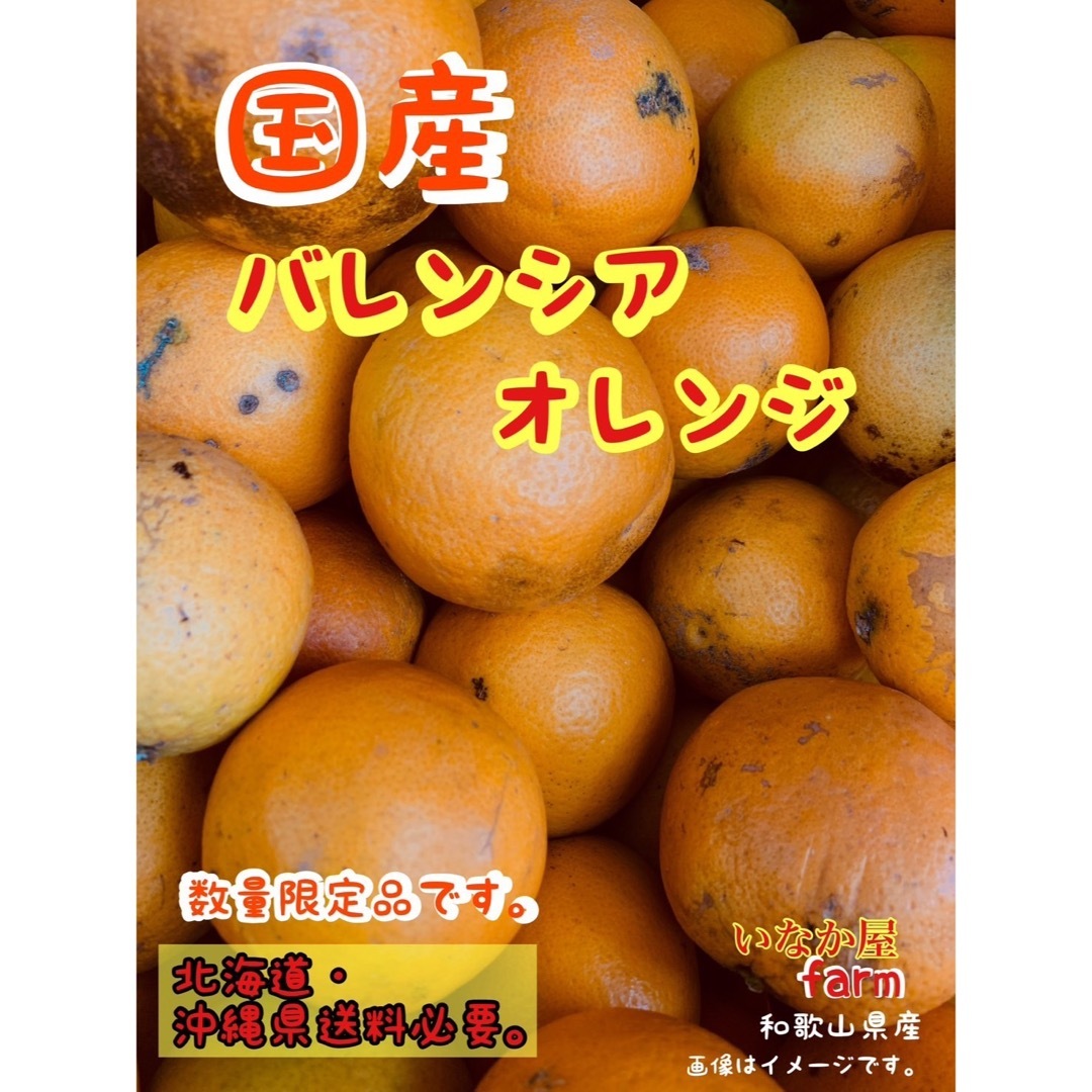 8kg 国産　バレンシア  オレンジ　有田　家庭用　みかん　柑橘　数量限定 食品/飲料/酒の食品(フルーツ)の商品写真