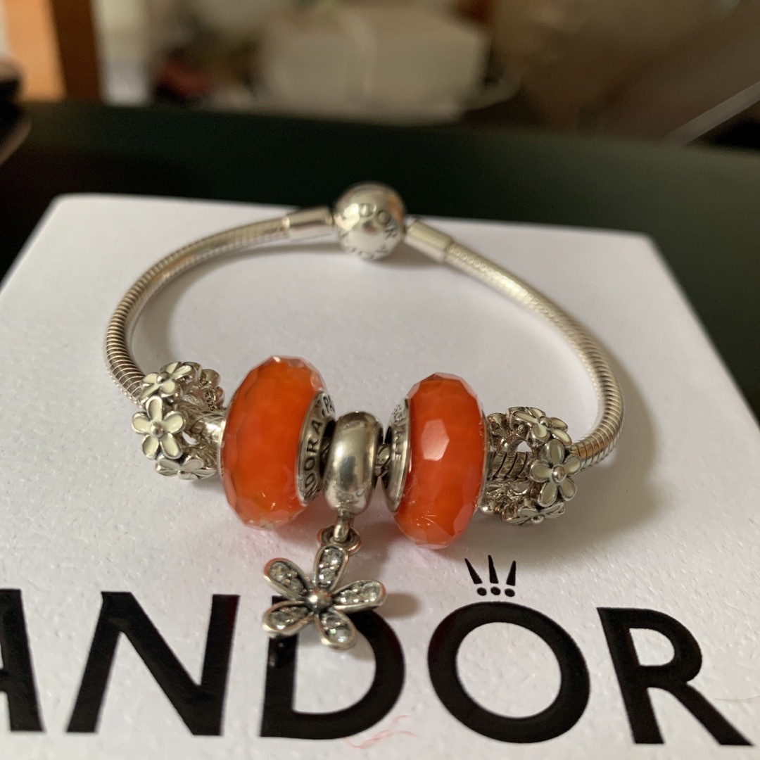 Pandora チャーム　5こ