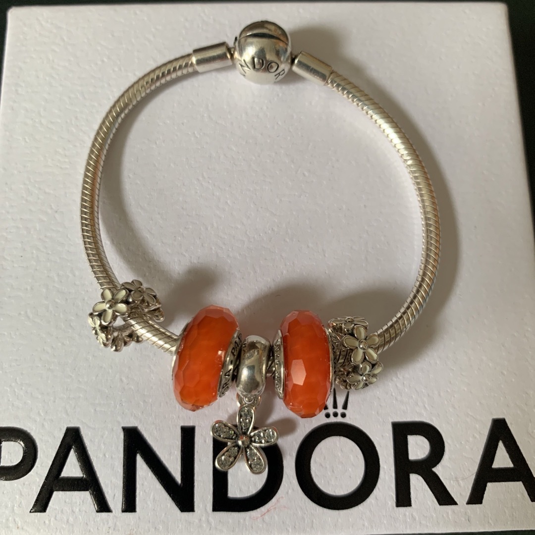 Pandoraパンドラブレスレットと5個チャームセット 堅実な究極の
