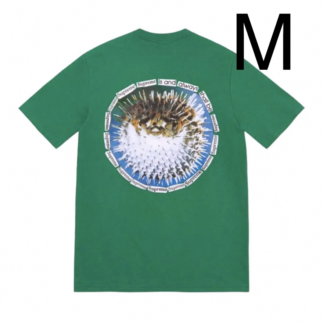 Supreme ／  Blowfish tee緑サイズ