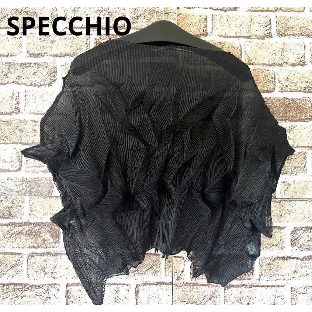 SPECCHIO(スペッチオ)のSPECCHIO スペッチオ 変形 半袖 プリーツ 無地 シワ加工  レディースのトップス(カットソー(半袖/袖なし))の商品写真