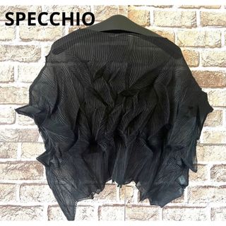 スペッチオ(SPECCHIO)のSPECCHIO スペッチオ 変形 半袖 プリーツ 無地 シワ加工 (カットソー(半袖/袖なし))