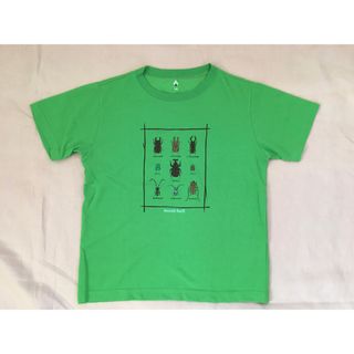 モンベル(mont bell)のmont-bell モンベル ウイックロン 半袖Tシャツ 甲虫 140 キッズ(Tシャツ/カットソー)