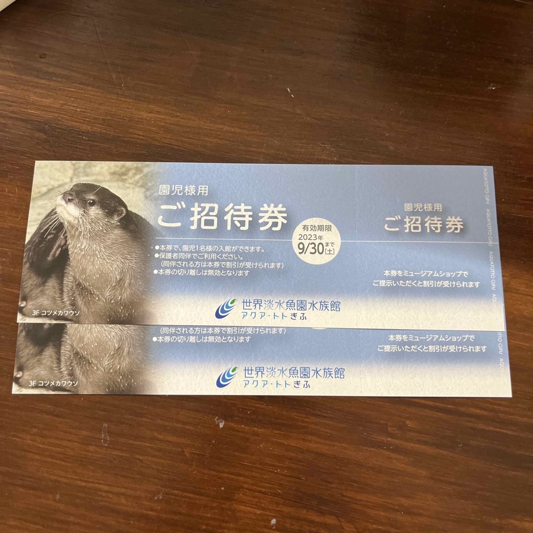 人気特価 アクアトトぎふ 園児様用 ご招待券 チケット 2枚 通販 アクア・トトぎふ 園児様用 ご招待券